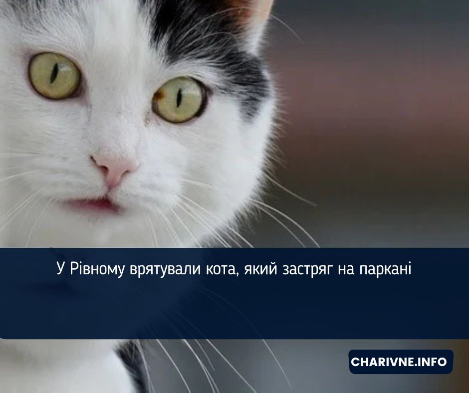 Фото ілюстративне
